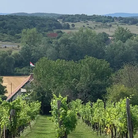 Pécsely apartman Apartman *