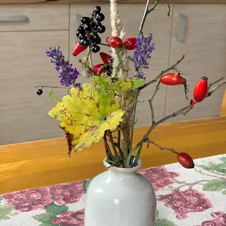 Pécsely apartman Apartman