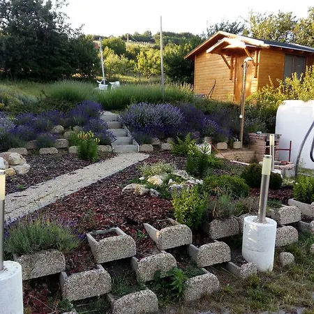 アパート Pecsely Apartman Pécsely